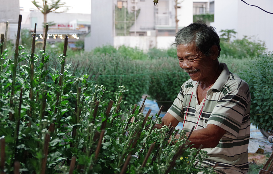 Những mùa hoa tháng Chạp